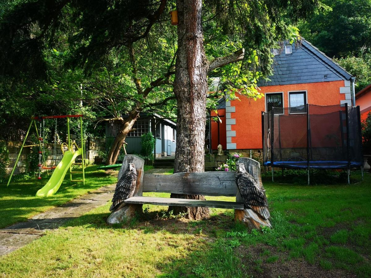 Ferienhaus Franz - An Der Elbe, Mit Grossem Garten Villa Pirna Exterior photo