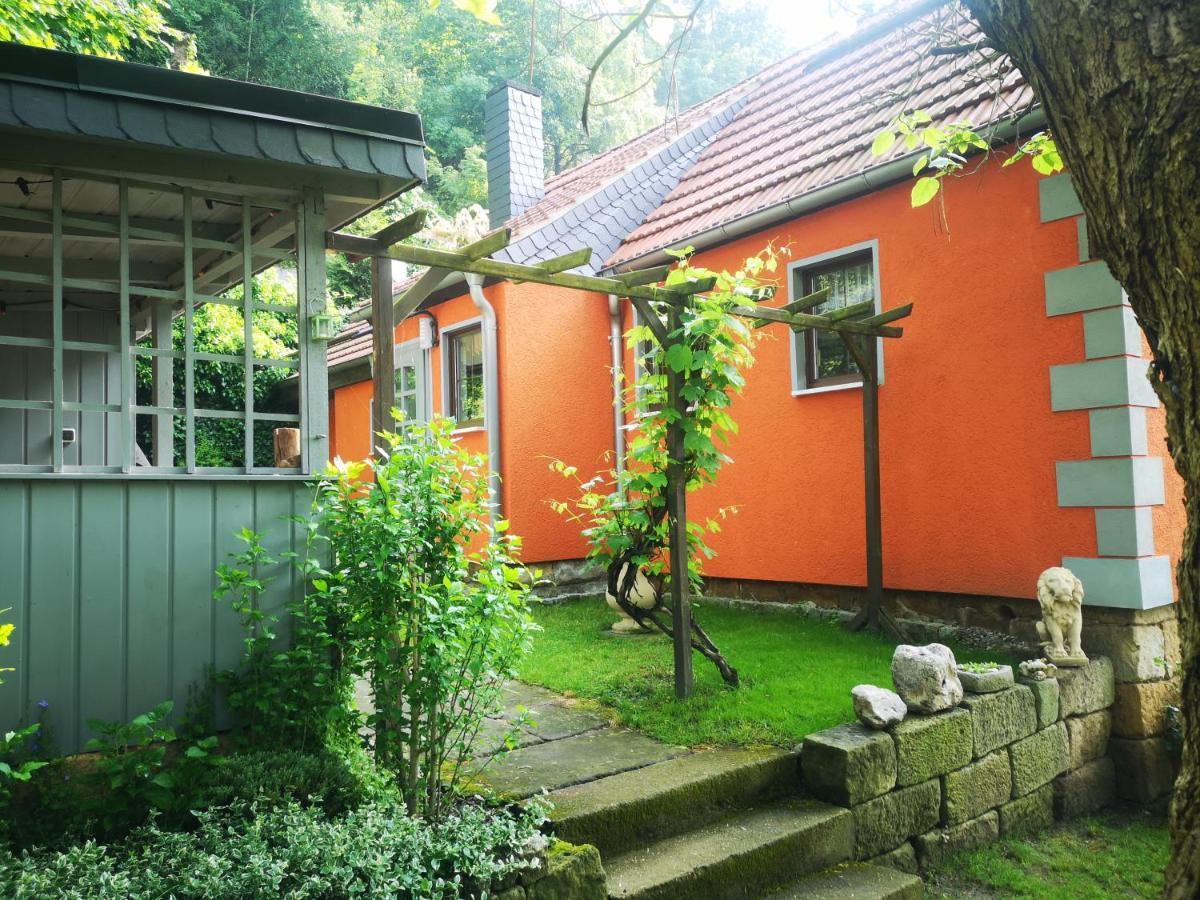 Ferienhaus Franz - An Der Elbe, Mit Grossem Garten Villa Pirna Exterior photo