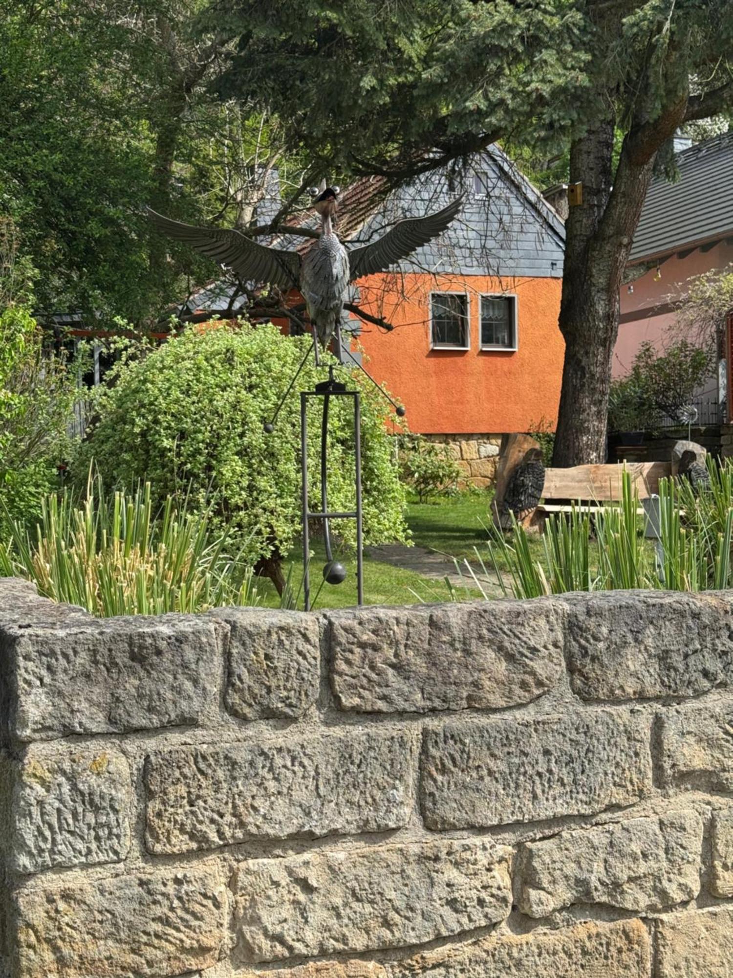 Ferienhaus Franz - An Der Elbe, Mit Grossem Garten Pirna Exterior photo